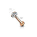 Piercing do brady labreta / cartilge